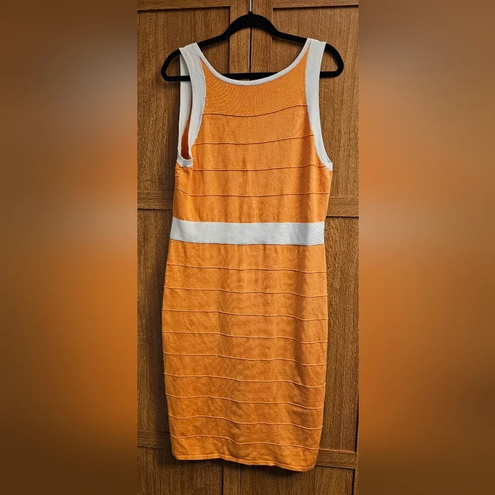 Ashley Stewart Color Block Stretch Sleeveless Bodycon Dress Plus Size 1X - Picture 2 of 3